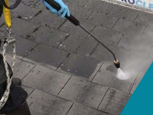 Gutter Cleaning