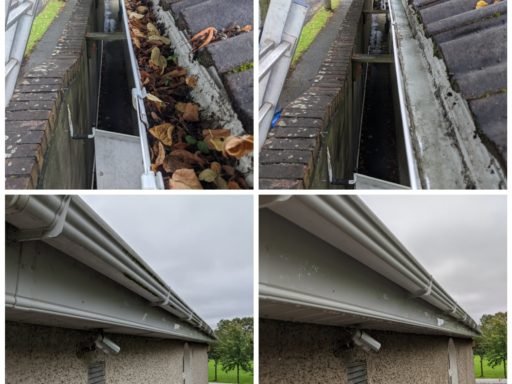 professional gutter cleaning services in Dublin