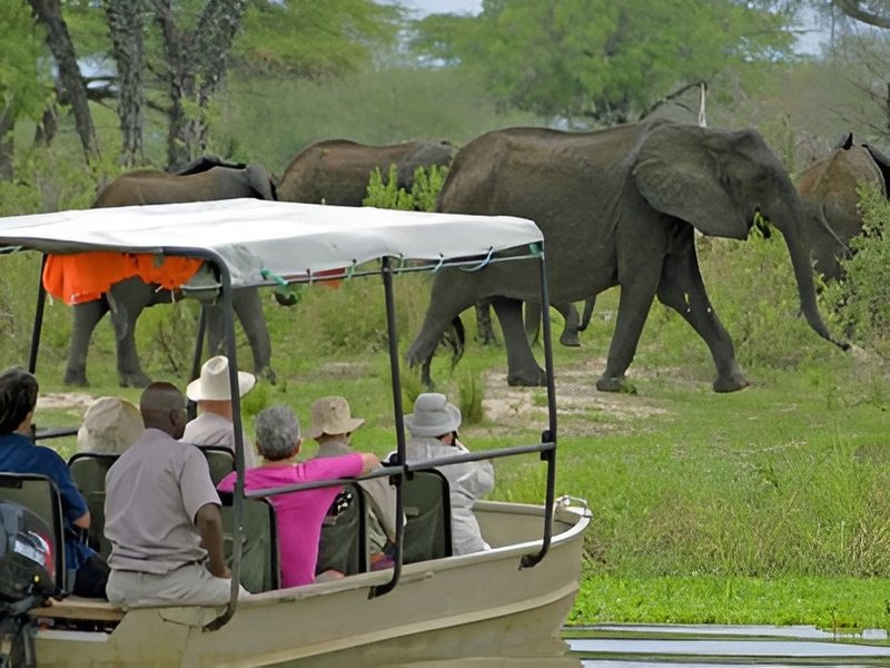 tanzania safari 6days