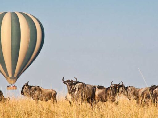 Masai Mara Balloon Safari