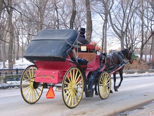 Booking your carriage ride
