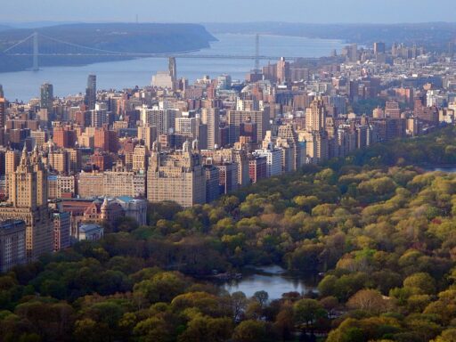 Central Park Carriage Tours