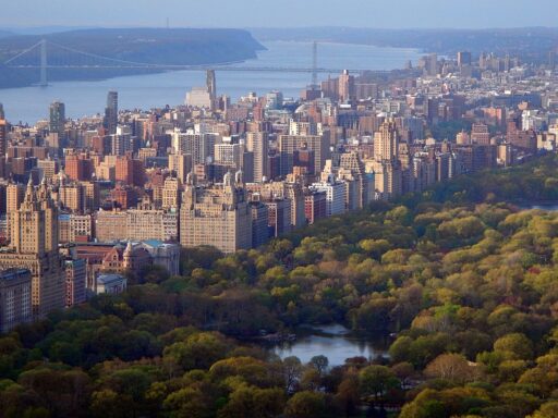 Central Park Carriage Tours