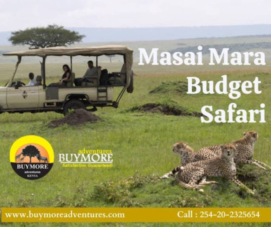 Masai Mara Budget Safari