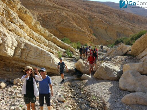 Adventure Tours Jordan