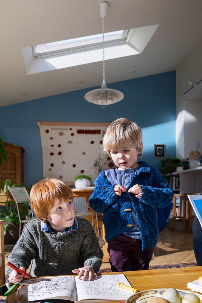 Velux Roof Window Installer