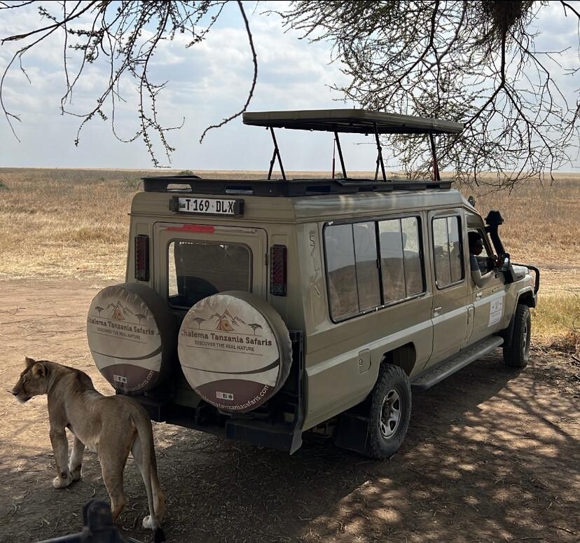 Chalema_Tanzania_Safari