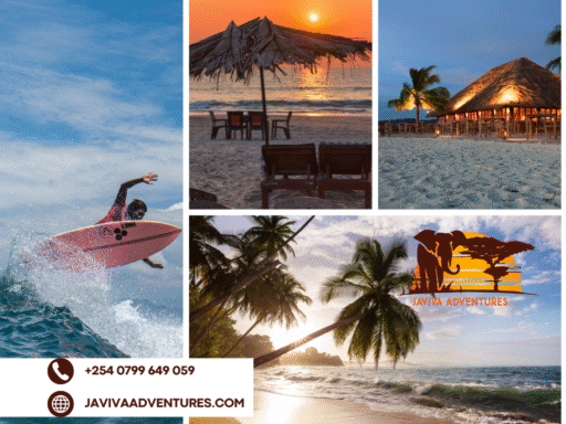Diani Beach safaris