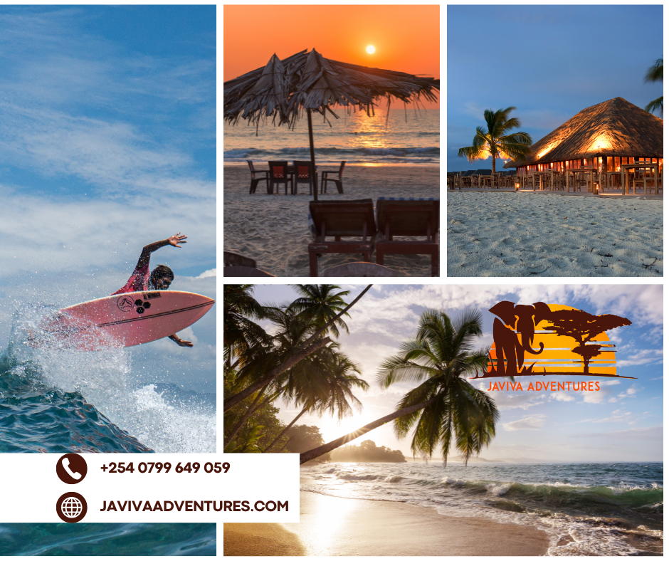 Diani Beach safaris