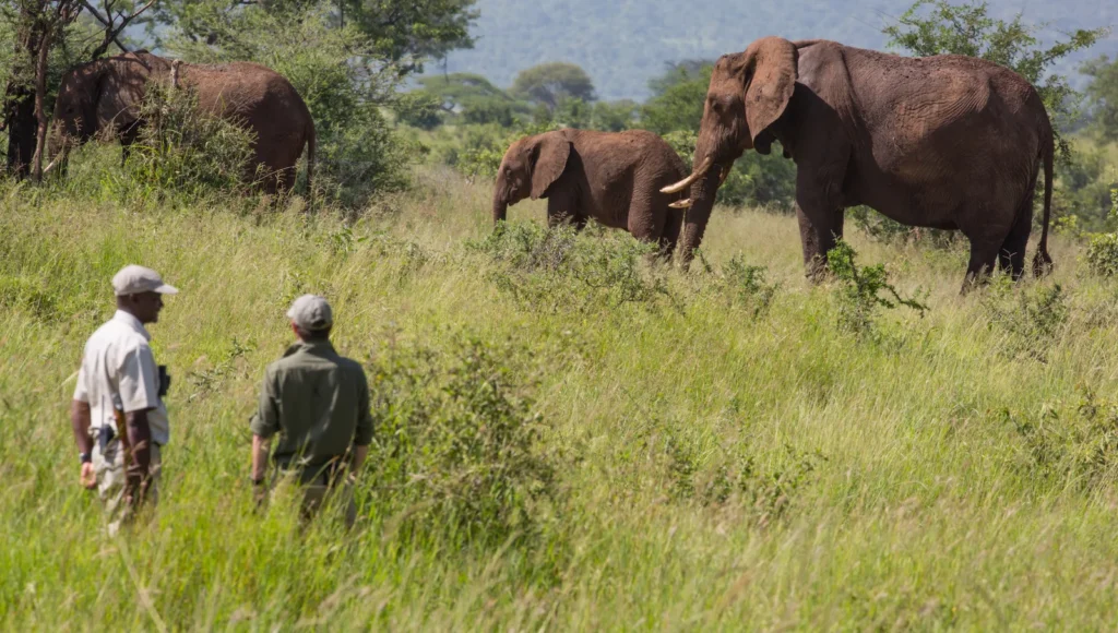 Photography Safaris