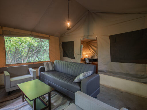 Tented Camp