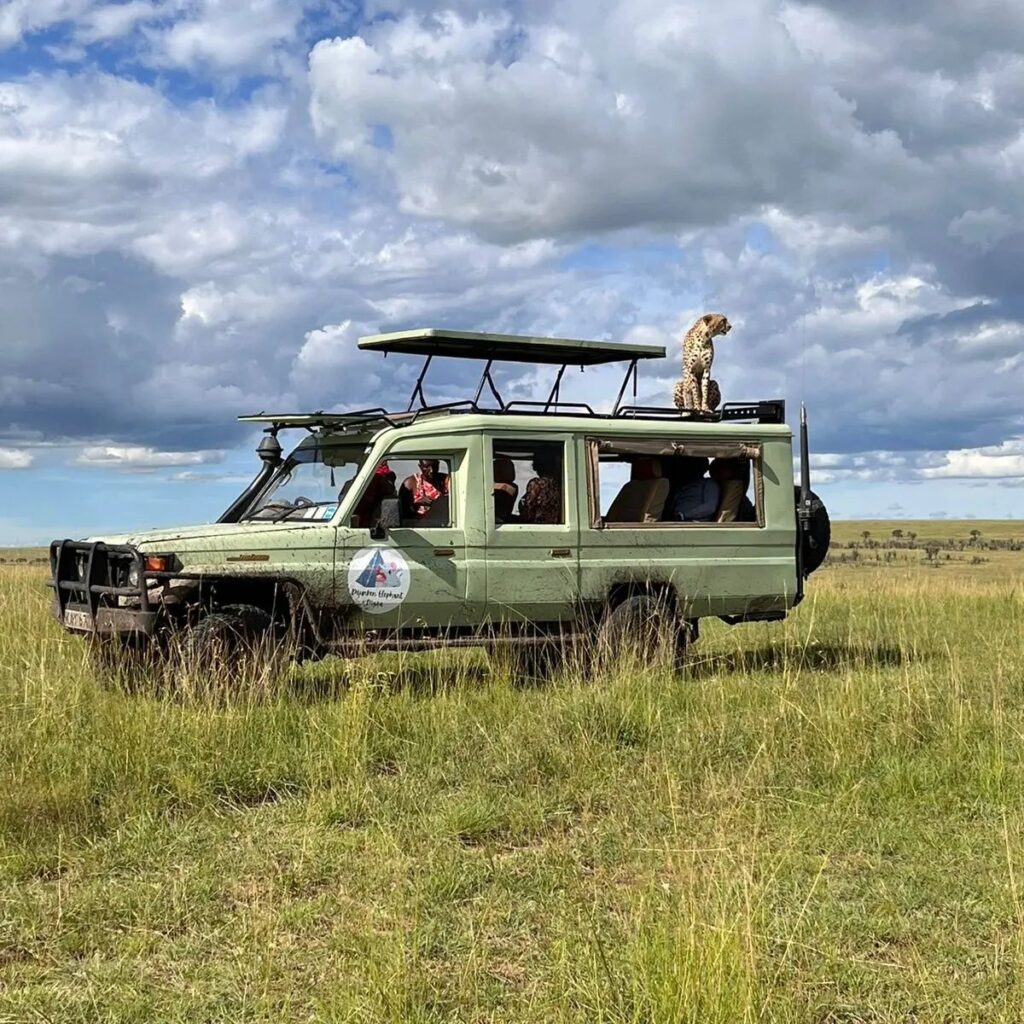 Masai Mara Game Drives
