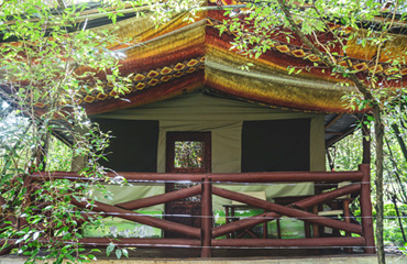 Tented Accommodation