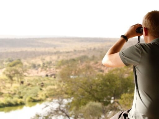 Africa Wildlife Safaris