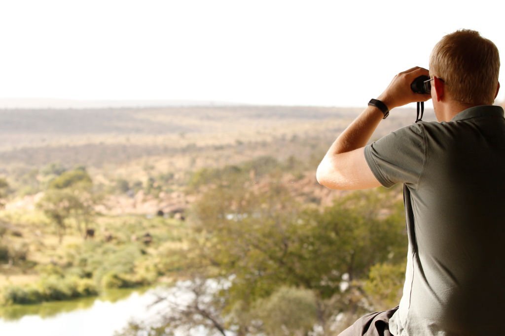 Africa Wildlife Safaris