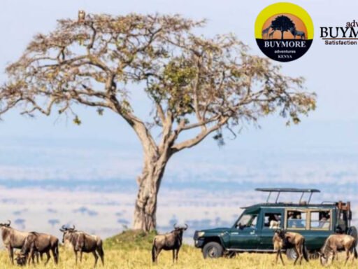 Masai Mara Luxury Safari