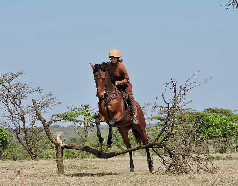 Horse Riding Safaris