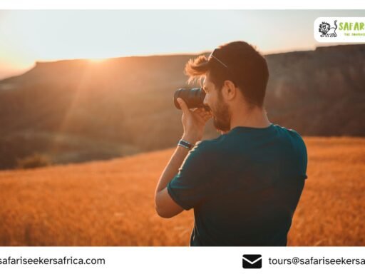 Photography Safaris