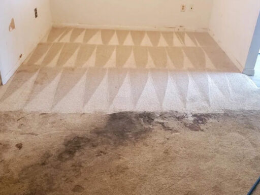 carpet cleaning service