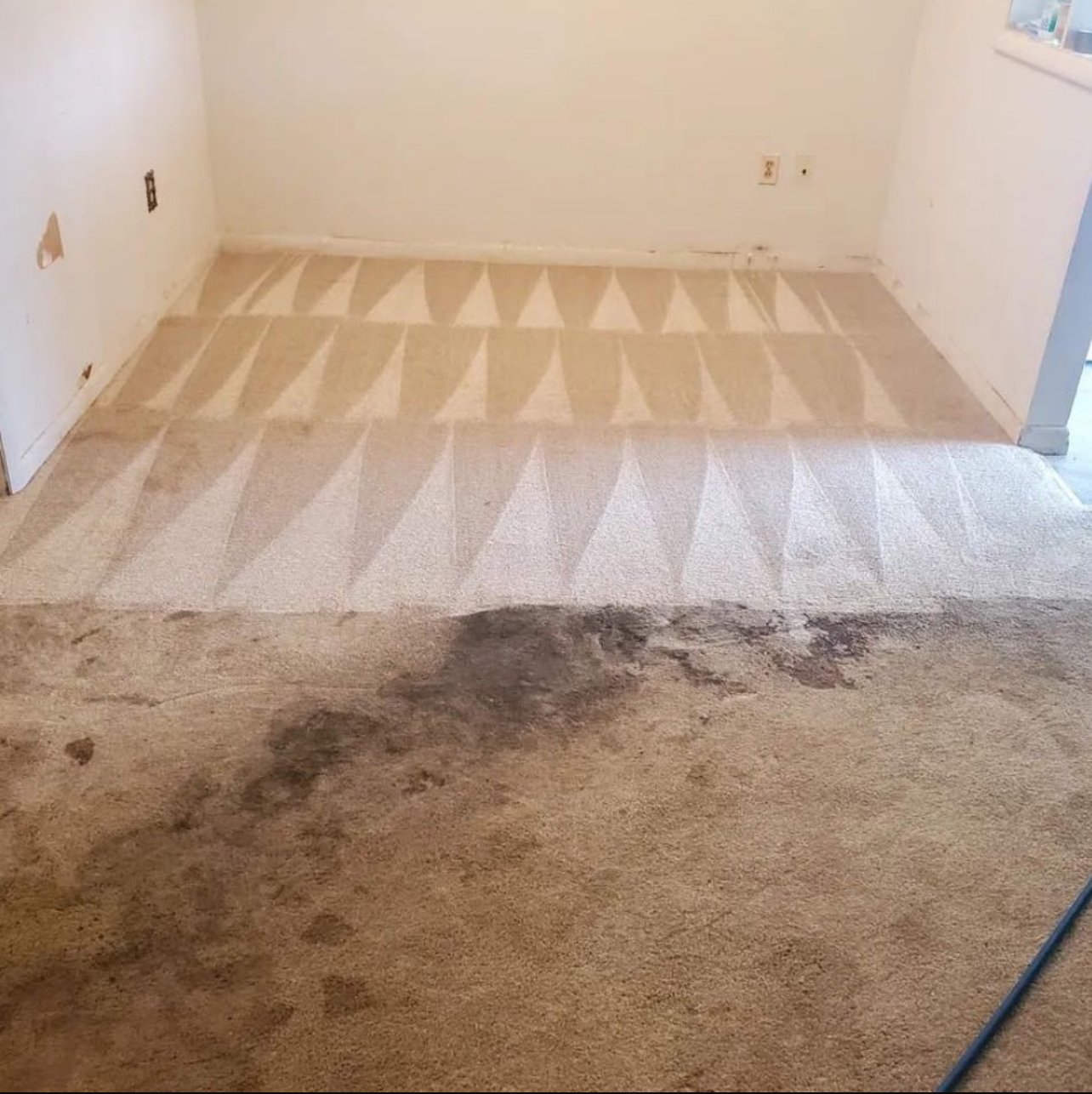 carpet cleaning service