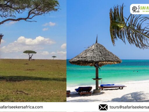 Kenya Safari and Beach Vacation