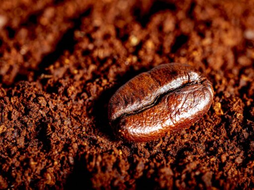Coffee Export