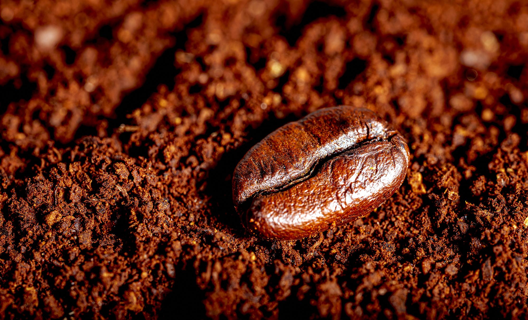 Coffee Export