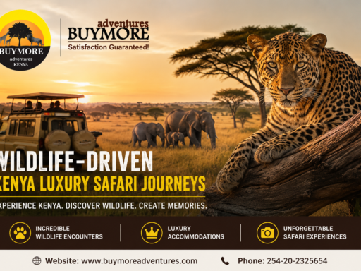 Explore Kenya’s Wildlife in Style with Buy More Adventures Luxury Safari Journeys